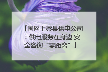 国网上蔡县供电公司：供电服务在身边 安全咨询“零距离”